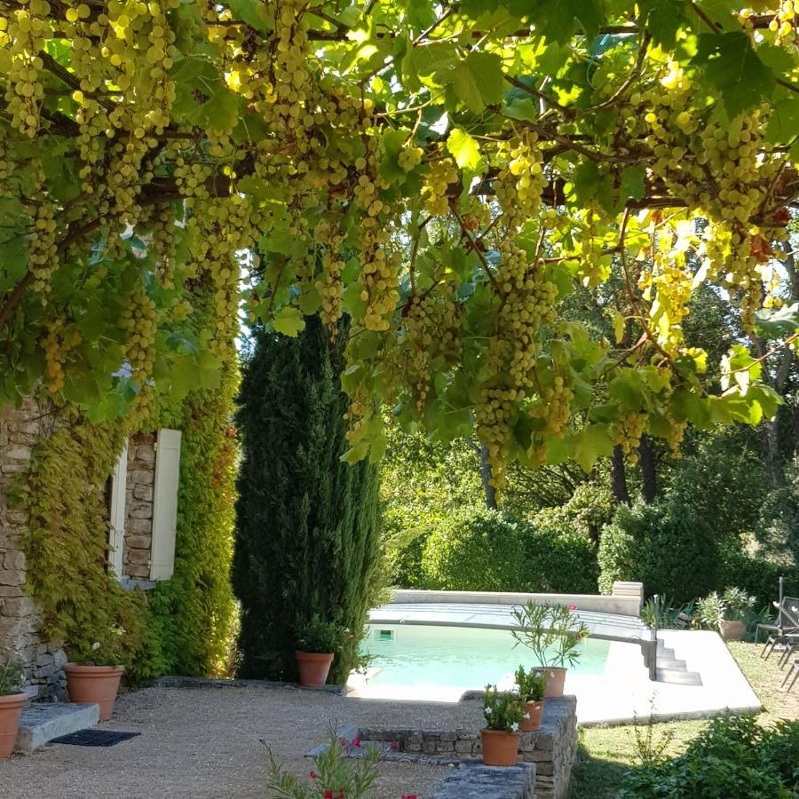 Vigneron Couette-café 3*